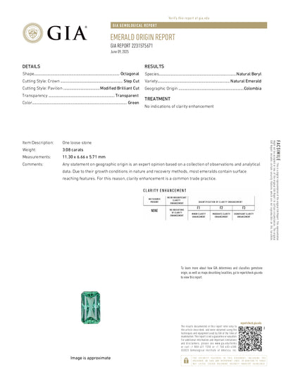 3.08 Octagonal Emerald Green Colombia GIA No Oil