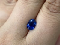 1.63 Oval Sapphire Blue