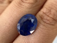 10.74 Oval Sapphire Blue Sri Lanka GIA Heated