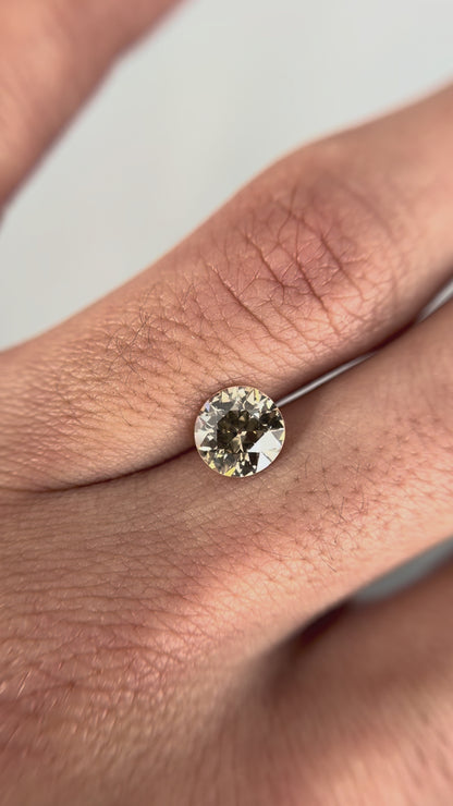 1.24 Old European Fancy Brown VS